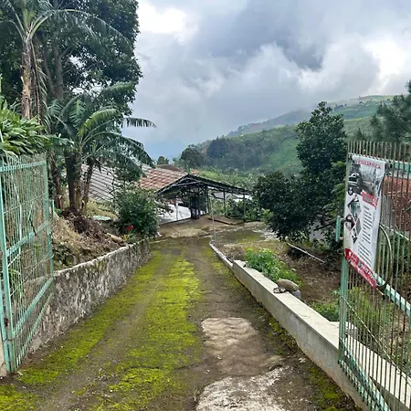 Villa DiDu, Puncak 2-3